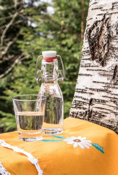 Вытянутый березовый сок в стеклянной бутылке на открытом воздухе весной, березовый фон. Берёза
. - Фото, изображение