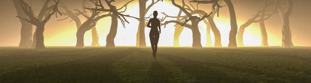 Illustrazione 3d di donna che fa esercizio al tramonto
 - Foto, immagini