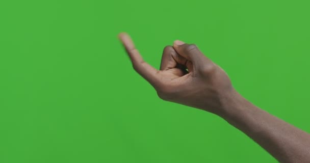 Fekete férfi kéz kéri, hogy kövesse őt, zöld chroma kulcs háttér - Felvétel, videó