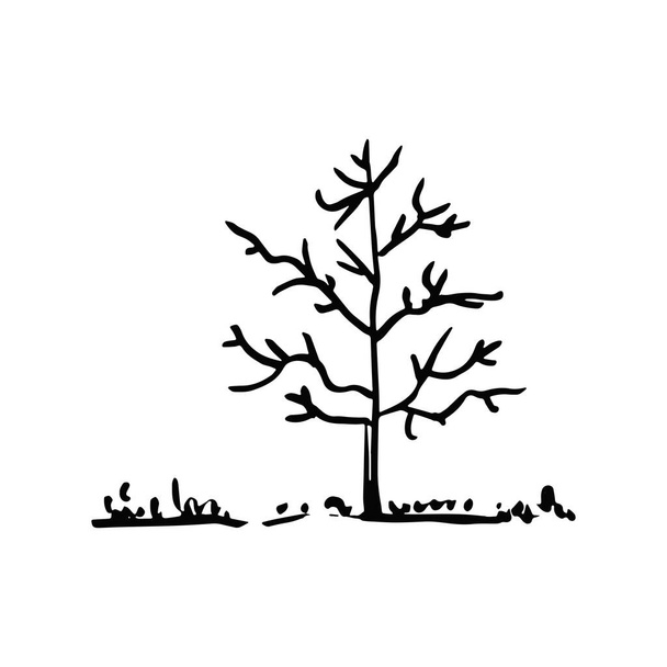 tree landscape sketch drawing on a white background vector - Fotoğraf, Görsel