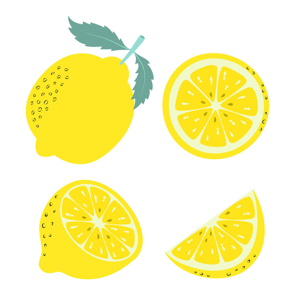 απεικόνιση με φρούτα κινουμένων σχεδίων, πανό με ολόκληρο και φέτες λεμονιού που απομονώνονται σε λευκό φόντο, εκτύπωση φρούτων - Διάνυσμα, εικόνα