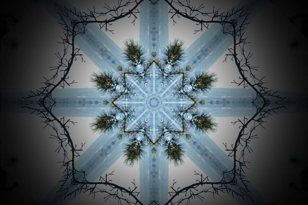 Синьо-біла мандала безшовний візерунок з деревами
 - Фото, зображення