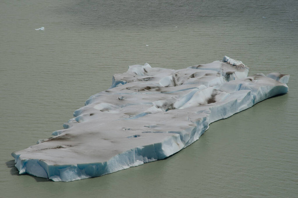 Fragment of ice floating in Grey lake. - Photo, Image