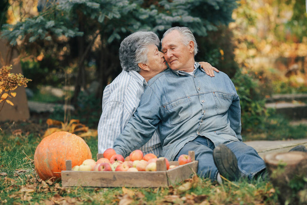 古いカップルは収穫と夏の庭に座って - 写真・画像