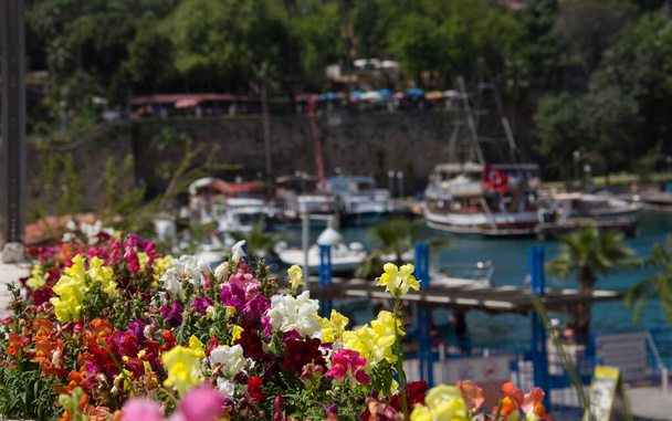 A cidade histórica de Antalya, na Turquia. Navios no antigo porto de Antalya (Kaleici), Turquia. Snapdragons coloridos Flores no Flor
 - Foto, Imagem
