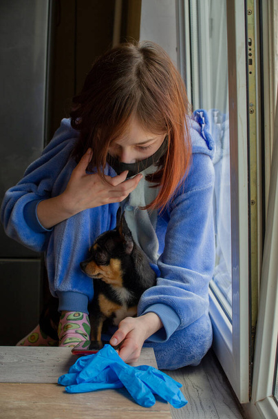 Tyttö chihuahuansa kanssa ulos ikkunasta, koska hän ei voi mennä ulos. Elämäntapa käsite. Tyttö ja koira coronavirus jäädä kotiin. Tyttö 9 vuotias kanssa chihuahua koira aikana virusinfektion. Koronavirus - Valokuva, kuva