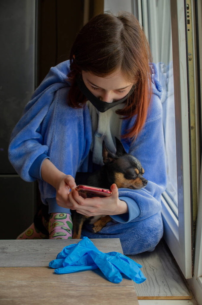 Mädchen mit ihrem Chihuahua aus dem Fenster, weil sie nicht nach draußen gehen kann. Lifestyle-Konzept.Mädchen und Hund bleiben zu Hause. 9-jähriges Mädchen mit einem Chihuahua-Hund während einer Virusinfektion. Coronavirus - Foto, Bild
