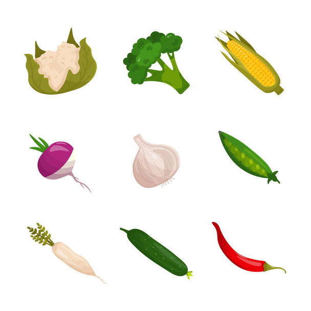 Набор мультяшных овощей
 - Вектор,изображение