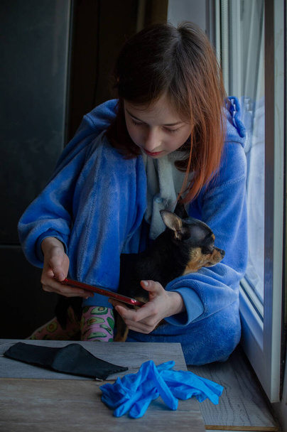 Dívka s čivavou z okna, protože nemůže jít ven. Životní styl koncepce.Dívka a pes coronavirus zůstat doma. Dívka 9 let s čivavským psem během virové infekce. Corona virus - Fotografie, Obrázek