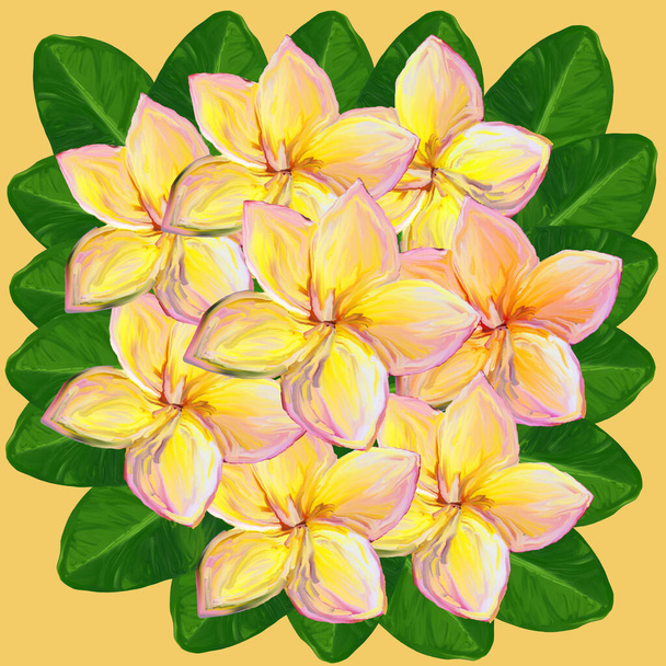Tropical lush bouquet with green exotic leaves and flowers. Frangipani Plumeria Tropical Flowers. pink and yellow tropical flowers, plumeria on yellow background, watercolor,gouache , hand drawing. - Fotografie, Obrázek