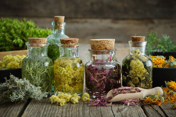 Bottles of tincture or infusion of healthy medicinal herbs and healing plants on wooden table. Herbal medicine. - Foto, imagen