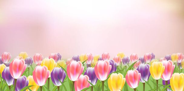 tulpen bloemen lente hemel achtergrond - Vector, afbeelding