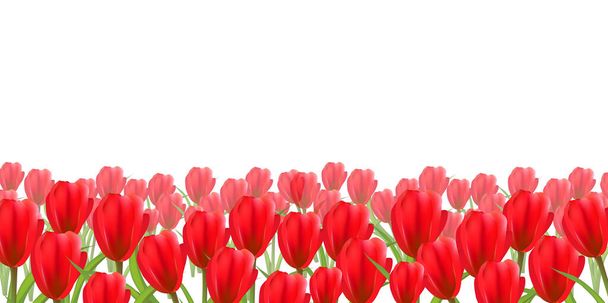 Tulipany kwiaty wiosna niebo tło - Wektor, obraz