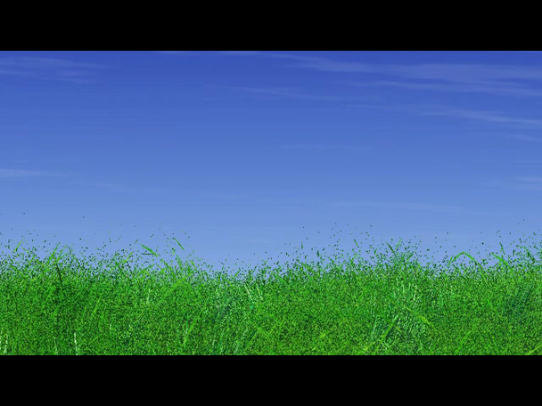 campo verde y cielo azul - Metraje, vídeo