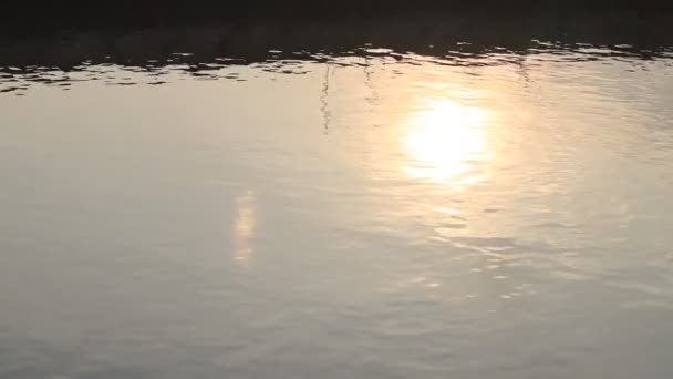 Wateroppervlak. Close-up zicht op reflecterend wateroppervlak met golven en rimpels. en zonsondergang. - Video