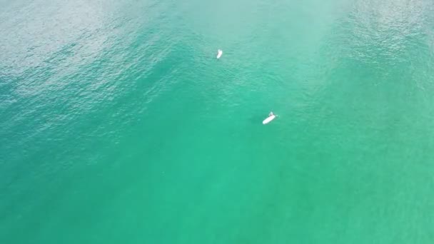 Luftaufnahme von oben nach unten zum Stand Up Paddleboard - Filmmaterial, Video