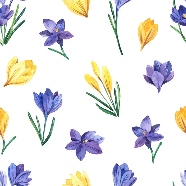 Seamless pattern with watercolor crocuses. Spring bright flowers on a white background. Seamless background for textiles - Fotoğraf, Görsel