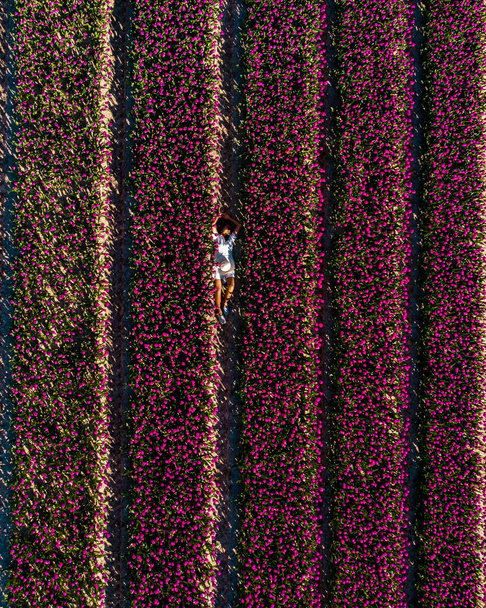 Nederlands tulpenveld, vrouw met jurk en zomerhoed in tulpenveld Nederland, vrolijke jonge vrouw in roze bloemenveld - Foto, afbeelding