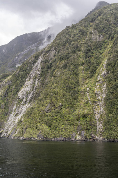 paisaje con exuberante vegetación de selva tropical en acantilado rocoso empinado en la orilla del fiordo, filmado en luz nublada brillante en Milford Sound, Southland, South Island, Nueva Zelanda
 - Foto, imagen