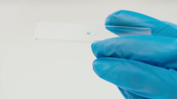 Close-up hand of a laboratory worker holding a glass - Felvétel, videó