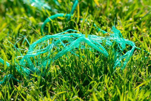 Un filet de serre turquoise est au-dessus des herbes vertes
 - Photo, image