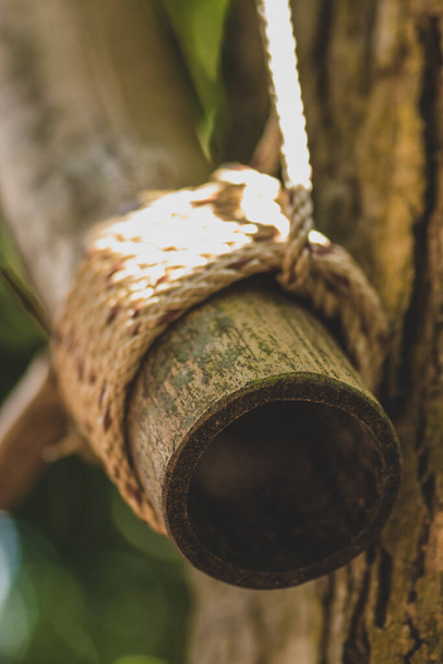 Macro view of bamboo stick decoration with linen rope in blurry tree and greenery background. Top round part of the bamboo is in camera focus - Photo, Image