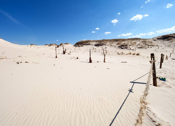 Het Nationaal Park Sowiski met bewegende duinen ligt in het centrale deel van de Poolse kust, - Foto, afbeelding
