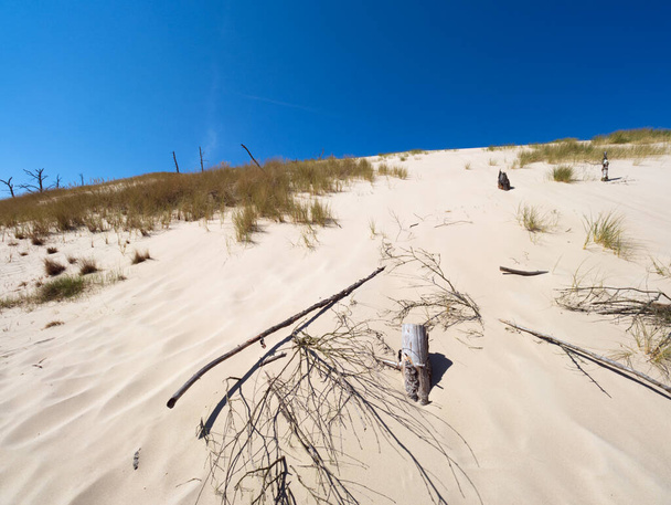 Het Nationaal Park Sowiski met bewegende duinen ligt in het centrale deel van de Poolse kust, - Foto, afbeelding