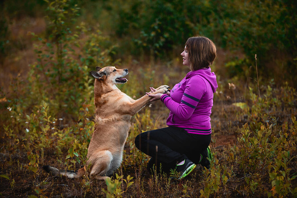 Side view of female in bright hoodie training obedient dog while spending time in green field in nature - Fotoğraf, Görsel