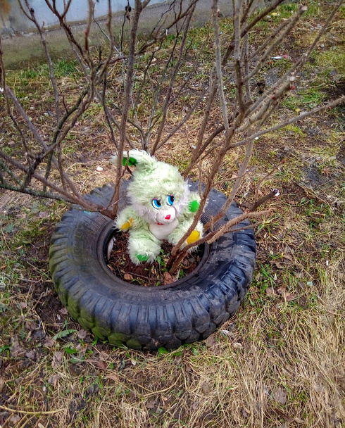 Um pequeno coelho de brinquedo cinzento está sentado no jardim perto de um arbusto.
 - Foto, Imagem