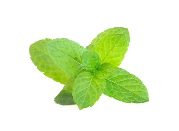 Čerstvé zelené mátové listy izolované na bílém pozadí, bylina a lékařské pojetí - Fotografie, Obrázek