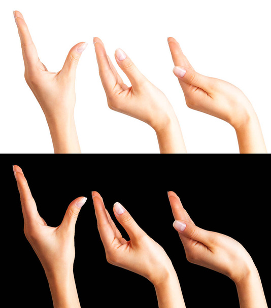 Σετ γυναικείων χεριών που δείχνουν χειρονομία απομονωμένη σε λευκό και μαύρο φόντο - Φωτογραφία, εικόνα