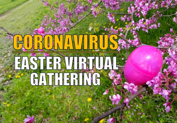 Coronavirus Húsvét virtuális összejövetel háttér rózsaszín műanyag tojás egy cseresznyevirág fa - Fotó, kép