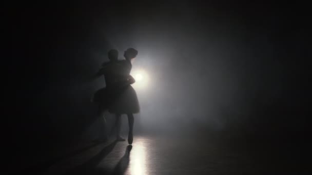 Romantische professionelle Ballettpaare üben Bewegungen auf dunkler Bühne. Junge Paare tanzen in klassischer Kleidung, drehen sich herum und lächeln. Anmut und Zärtlichkeit in jeder Bewegung. - Filmmaterial, Video