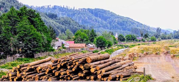 Şehrin kenar mahallelerinde oyulmuş ve istiflenmiş ağaç gövdeleri ve arka planda dağ - Fotoğraf, Görsel