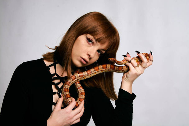 Beautiful woman in black bodywear and snake. Ginger model girl with fashion perfect make up. High end retouch. White background. Young woman with perfect fresh skin. Woman with snake around her. - Фото, изображение