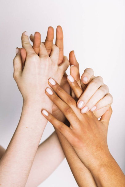 mãos multirraciais segurando no fundo branco
  - Foto, Imagem