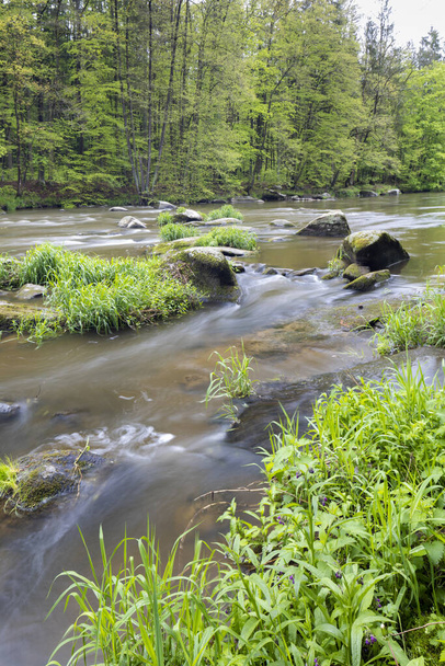 Sazava folyó Smrcna közelében, Cseh Köztársaság - Fotó, kép