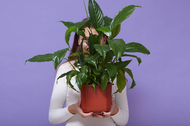 Picture of unknown female holding houseplant in both hands, hiding behind, covering face with it, nature lover, looking after plants, standing isolated over lilac background in studio. Green concept. - Fotó, kép