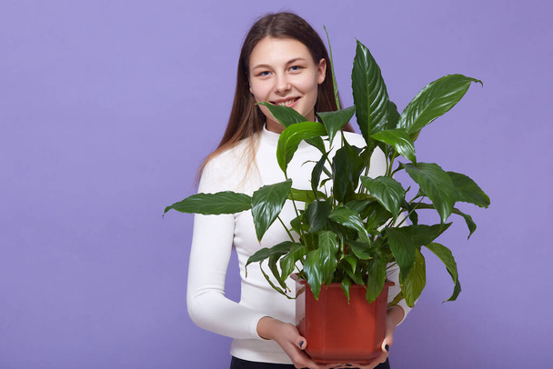 Horizontal indoor shot of beautiful magnetic young female holding houseplant in both hands, smiling sincerely, creating atmosphere in her house, wearing white sweater, taking care of plants. - Photo, Image