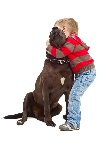 Friendly embraces a little boy and dog - Φωτογραφία, εικόνα