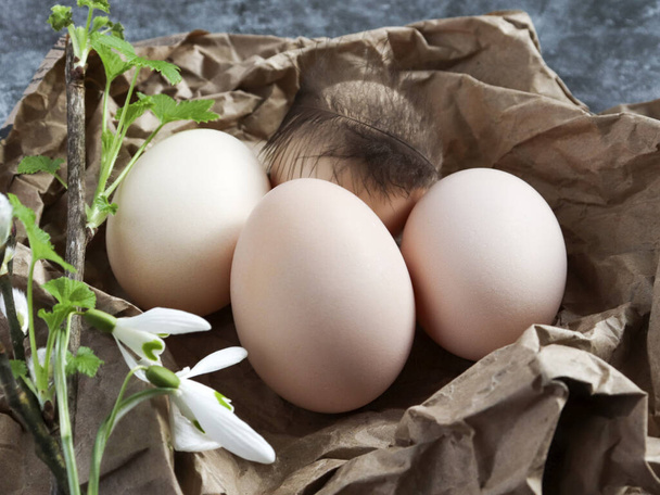 Three chicken eggs on kraft paper, near feather and flowers. The concept of healthy farm food and healthy nutrition. world egg day, international egg day - Фото, изображение