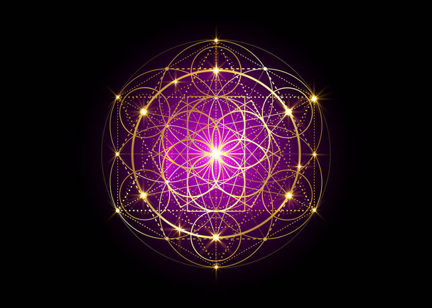 Semilla de vida símbolo Geometría Sagrada. Mandala místico geométrico de la alquimia esotérica Flor de la Vida. Diseño de lujo de oro, vector divino amuleto meditativo aislado sobre fondo negro - Vector, imagen