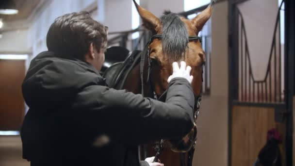 Paardrijden - een man in een stal strelen een baai paard - Video