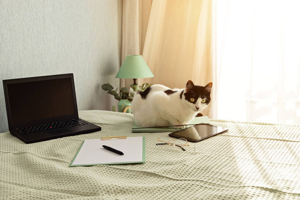 Pohled na kancelářské potřeby v posteli, neformální pracovní prostředí s notebookem, notepadem, čajovým šálkem. Vzdálená práce, domácí kancelář, nezávislá osoba, koncepce vlastní izolace - Fotografie, Obrázek