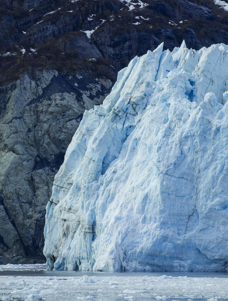 Glacier Bay Ulusal Parkı, Alaska, ABD, dünyanın doğal mirası, küresel ısınma, eriyen buzullar - Fotoğraf, Görsel