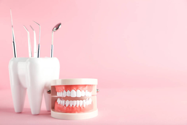 Teeth models with dental instruments on pink background - Photo, Image
