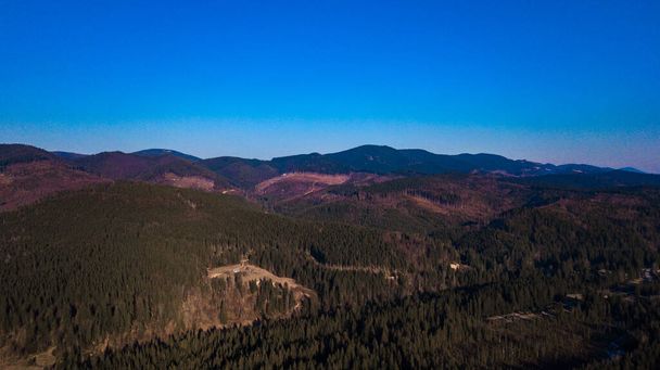 Карпатские горы Пейзаж сосновый лес иглы аэрофотосъемка. - Фото, изображение