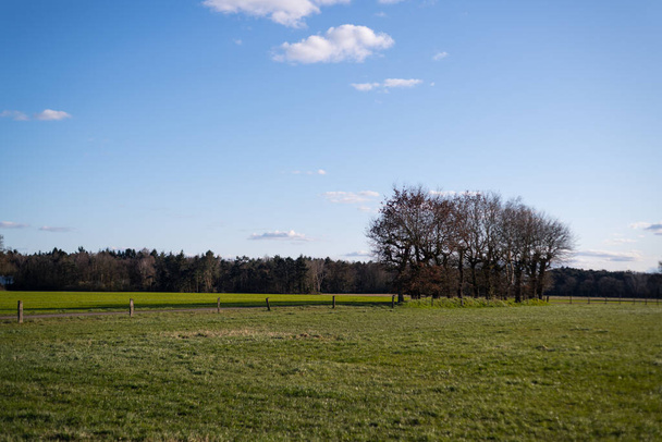 A panoramic  shot of the northern German countryside on a bright sunny day - Photo, Image
