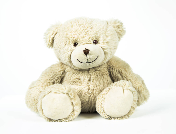 Fluffy soft toy bear in studio sho - Fotografie, Obrázek
